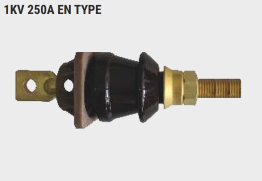 1KV 250A EN TYPE